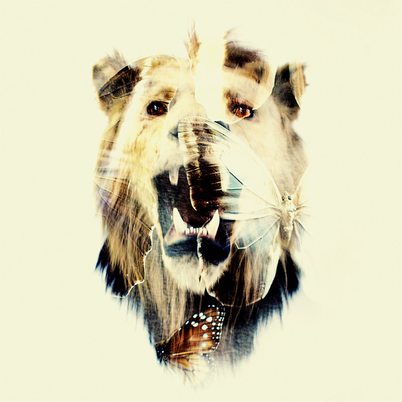 Double Exposure Effect Inspiration