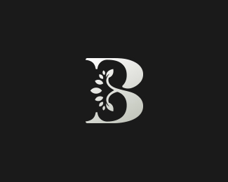 B - Single Letter Logo Design